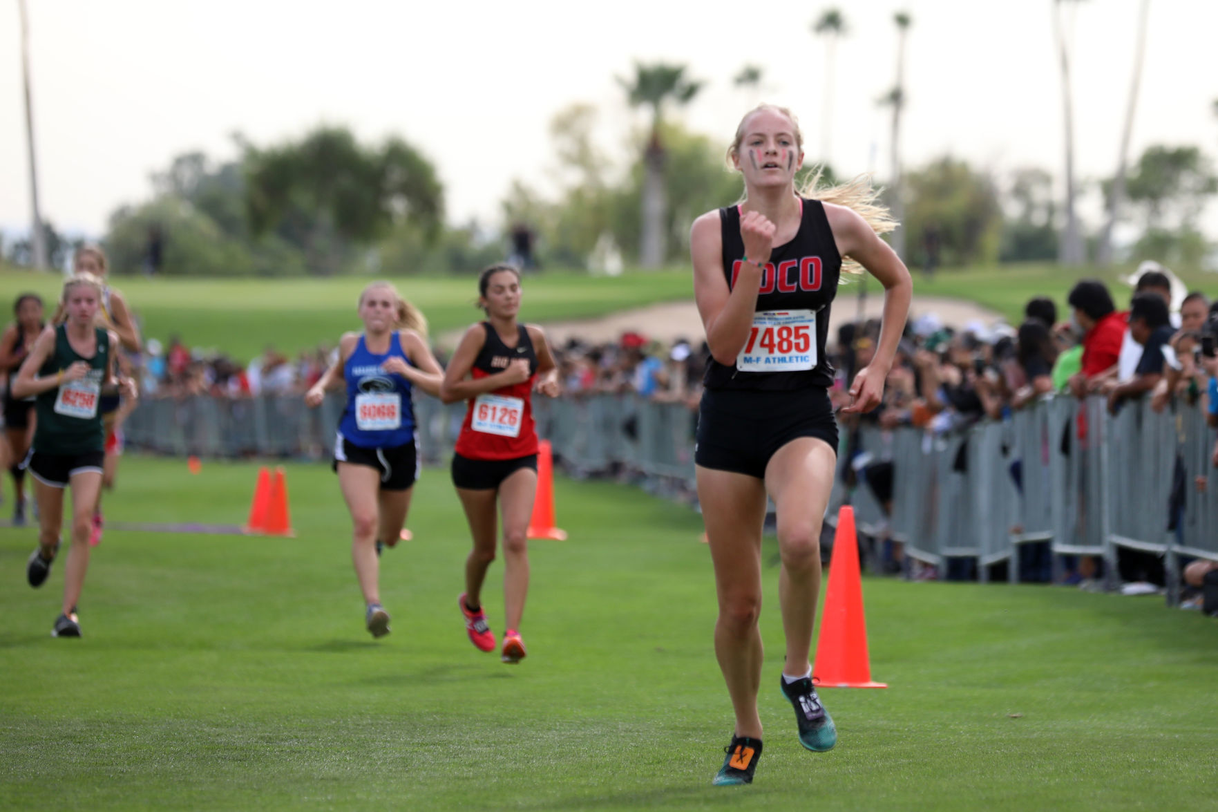 Coconino cross country